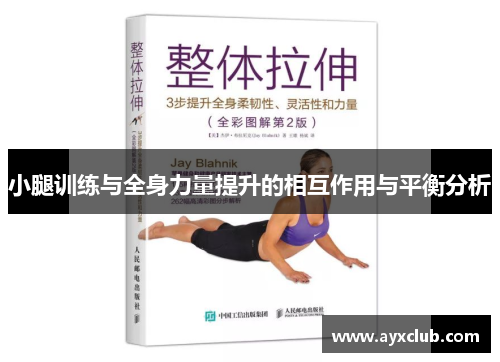 小腿训练与全身力量提升的相互作用与平衡分析
